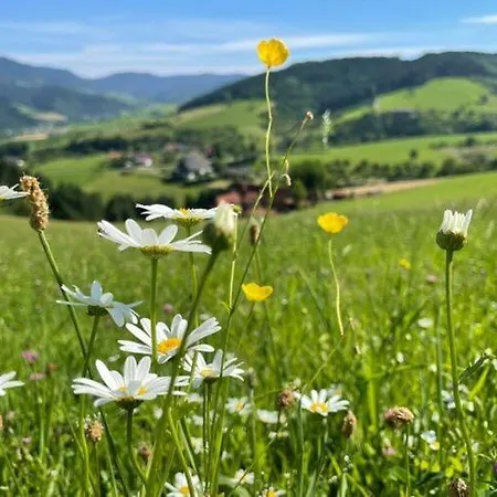 Appealing In * Zell am Harmersbach