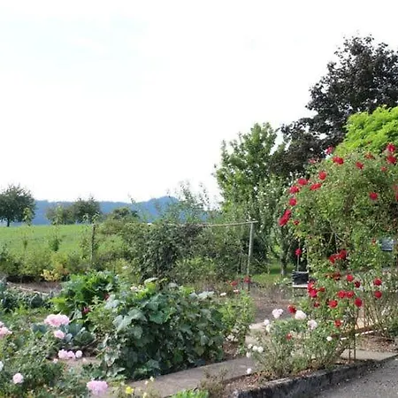 Apartmán Appealing In Zell am Harmersbach
